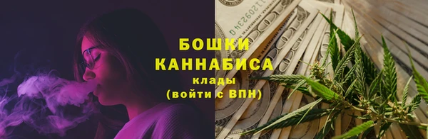 Альфа ПВП Пересвет