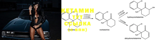 Альфа ПВП Пересвет